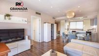 Living room of Flat for sale in  Granada Capital  with Air Conditioner and Terrace