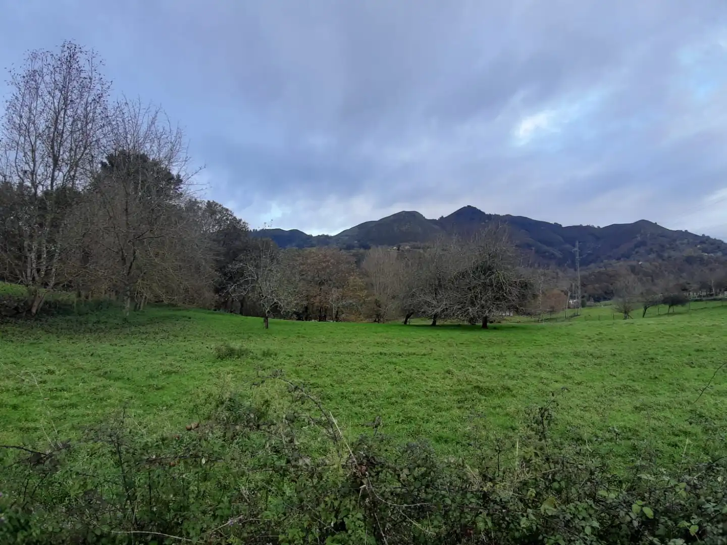 Terrenos y solares en venta en Parres, imagen 5
