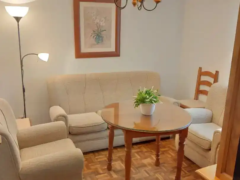 Living room of Flat for rent in Segovia Capital