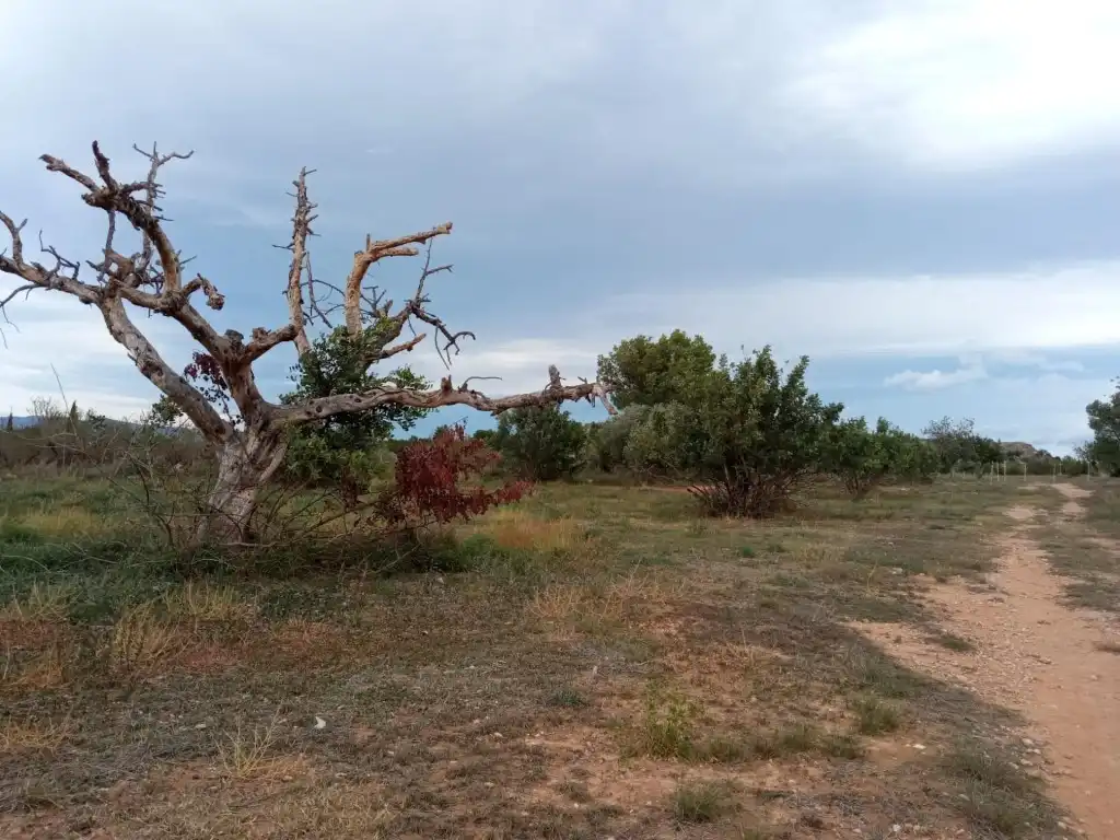 Residencial en venta en Llíria, Santa Bárbara