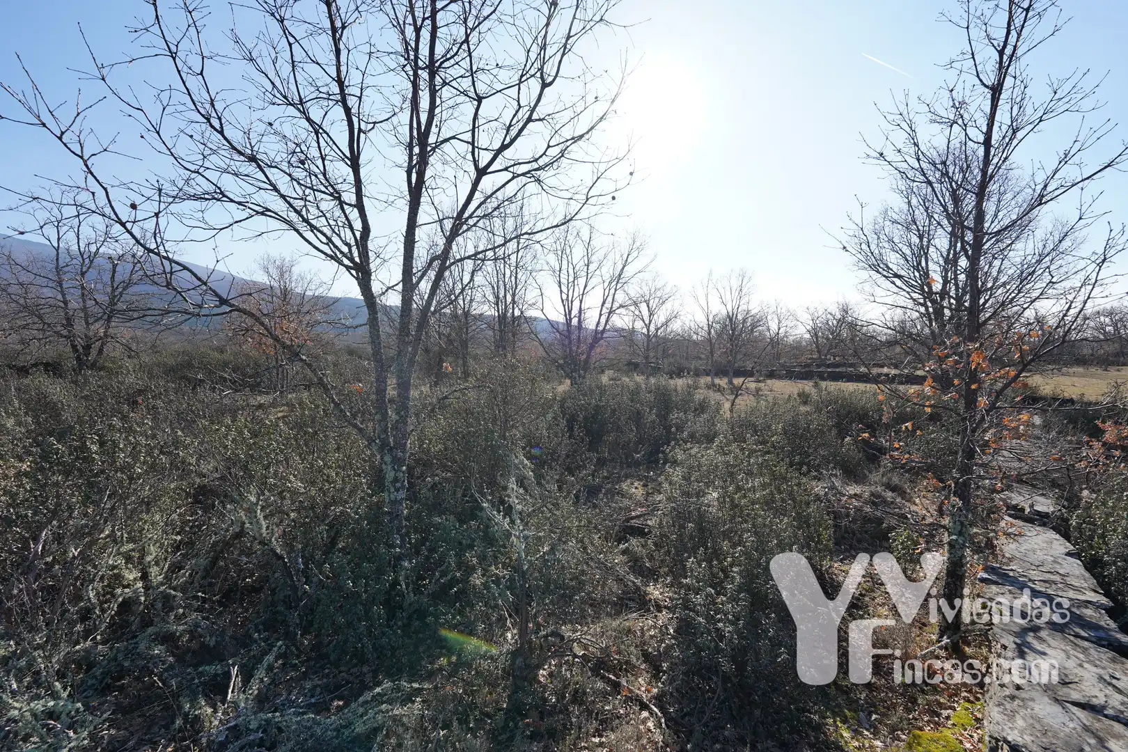 Terreno rústico en venta en Campillo de Ranas, imagen 7