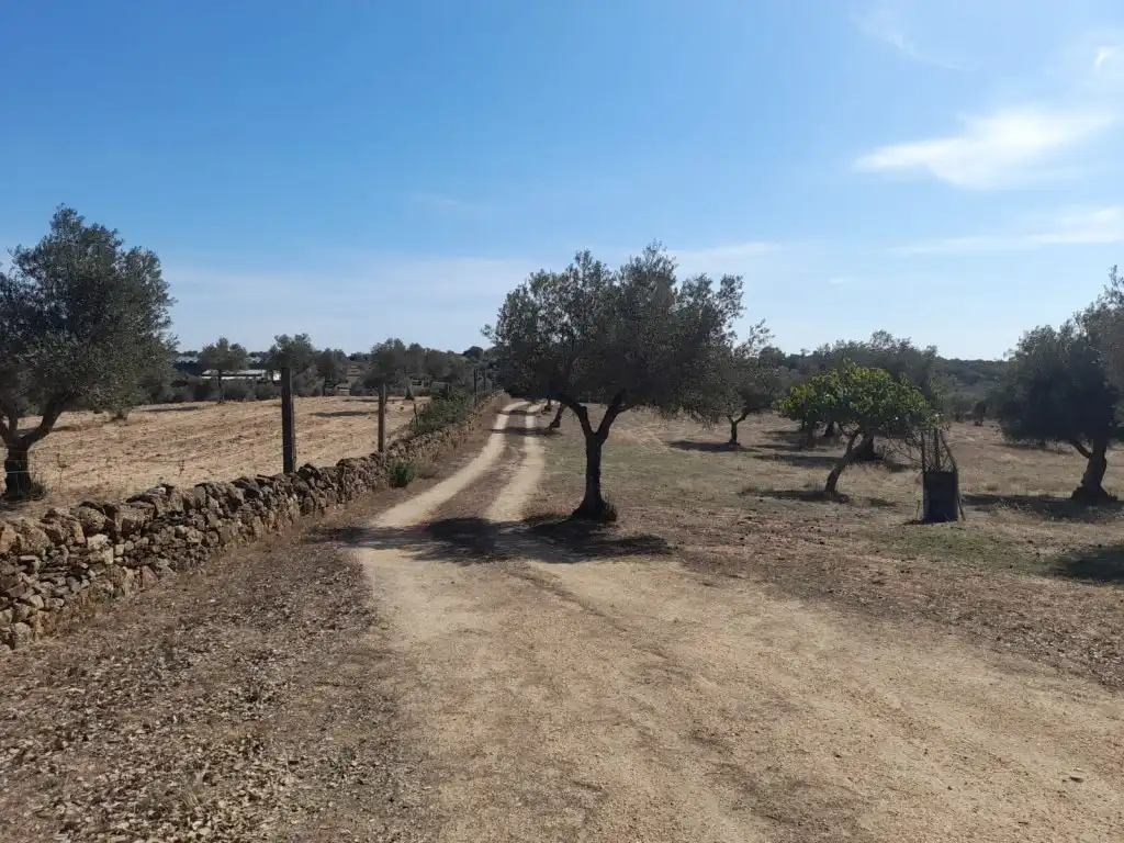 Casa o xalet en venda en San Vicente de Alcántara