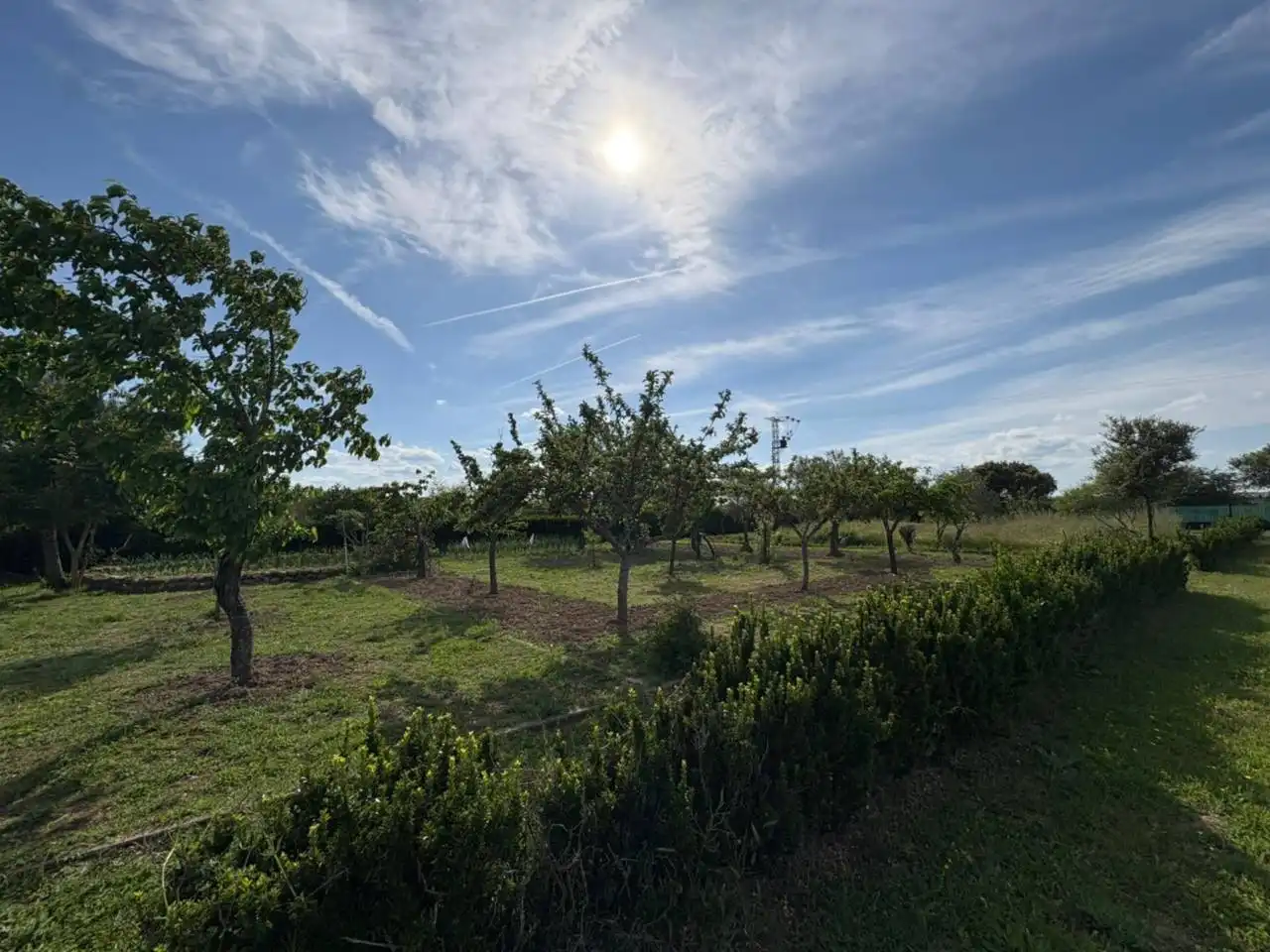 Terreno residenziale in vendita a Poligono 24, imagen 13