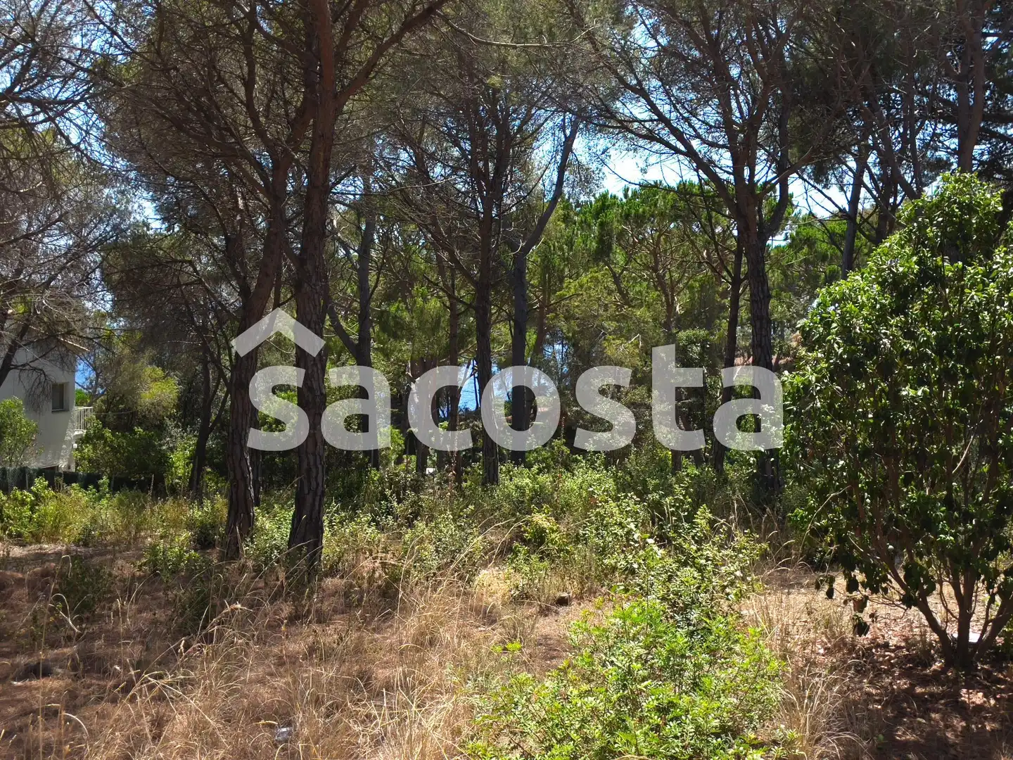 Residencial en venta en Montgoda