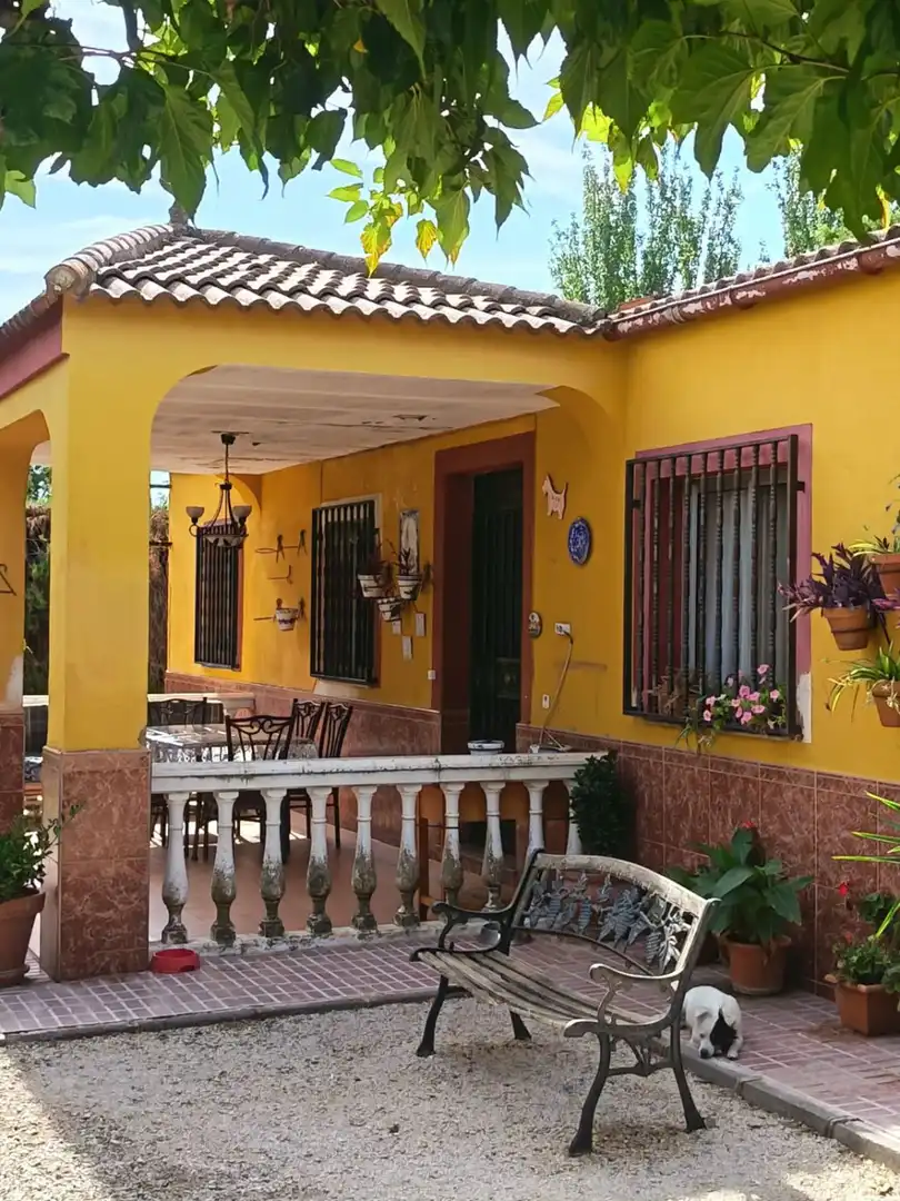 Casa amb piscina en venda a Centro ciudad, imagen 13