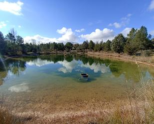 Piscina de Casa o xalet en venda en Burgo de Osma - Ciudad de Osma