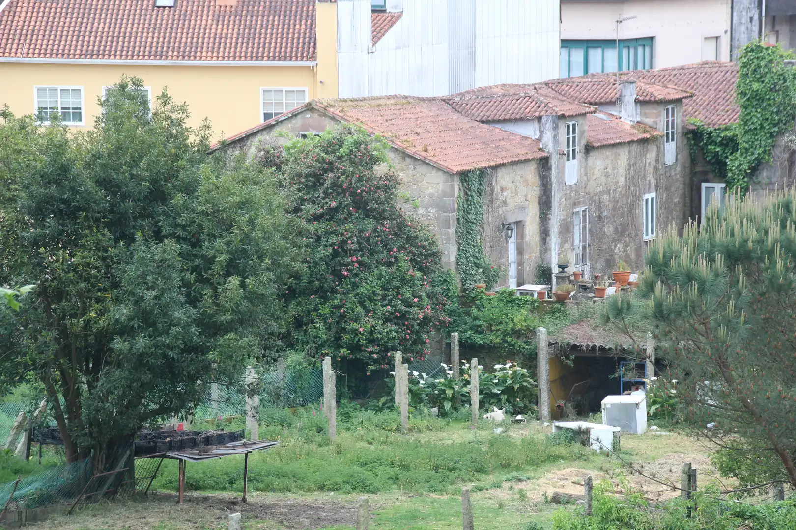 Wohnbaugrundstück zum Verkauf in Rúa San Loís 25, imagen 6