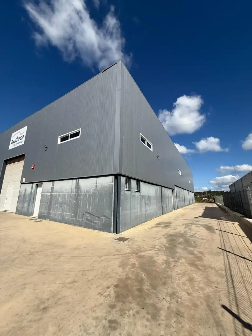 Industrial building for sale in Polígono Industrial Sepes, imagen 2