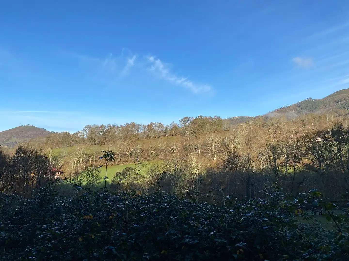 Terreno rustico in vendita a Cangas de Onís, imagen 10