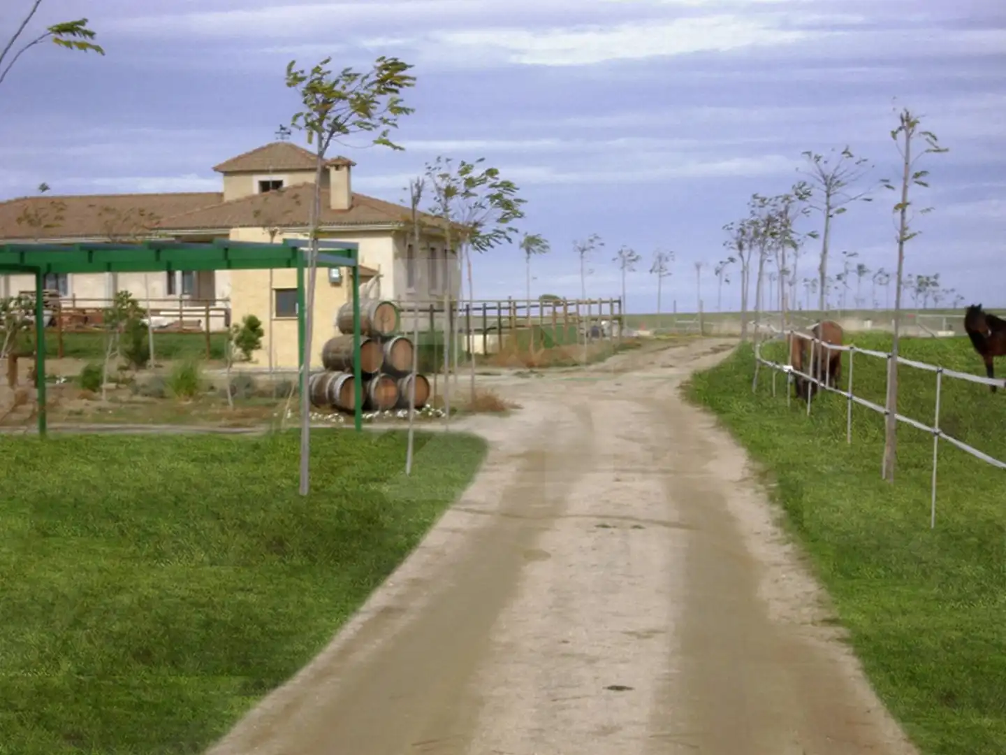 Finca rústica en venta en EXTRARRADIO, Palacios de Goda