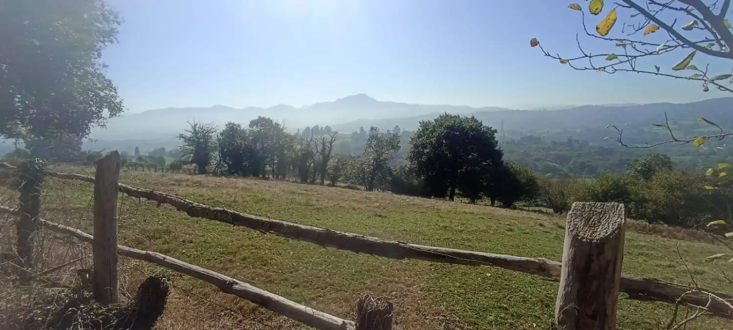 Finca rústica en venta en Nava