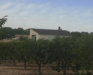 Finca rústica en venda en Benigánim