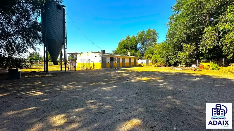 Vista exterior de Finca rústica en venta en Madridejos con Terraza