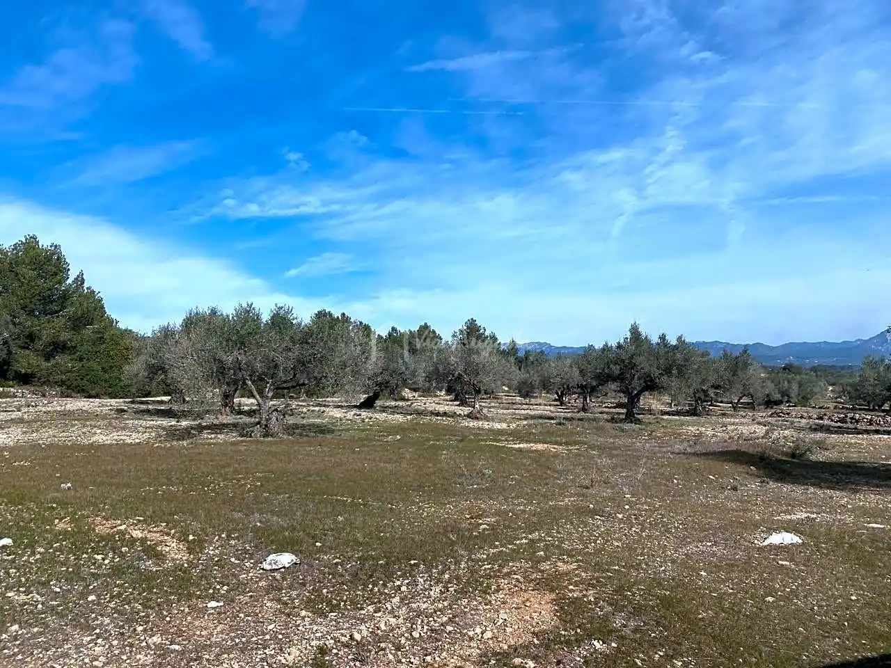 Terreno rustico in vendita a Planas, imagen 19
