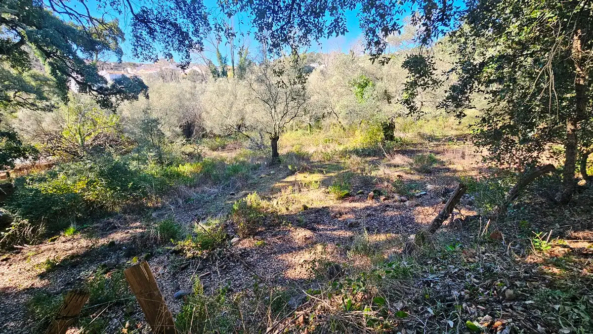 Residencial en venta en Santa Ana la Real