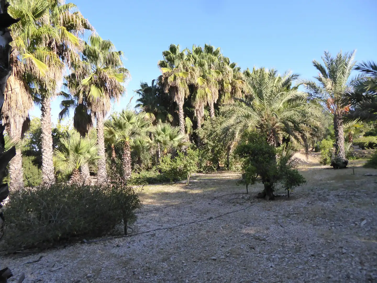 Casa o xalet en venda en Beniarbeig