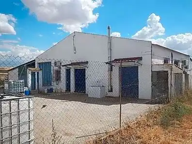 Terreno rustico in vendita a Ribera del Fresno, imagen 5