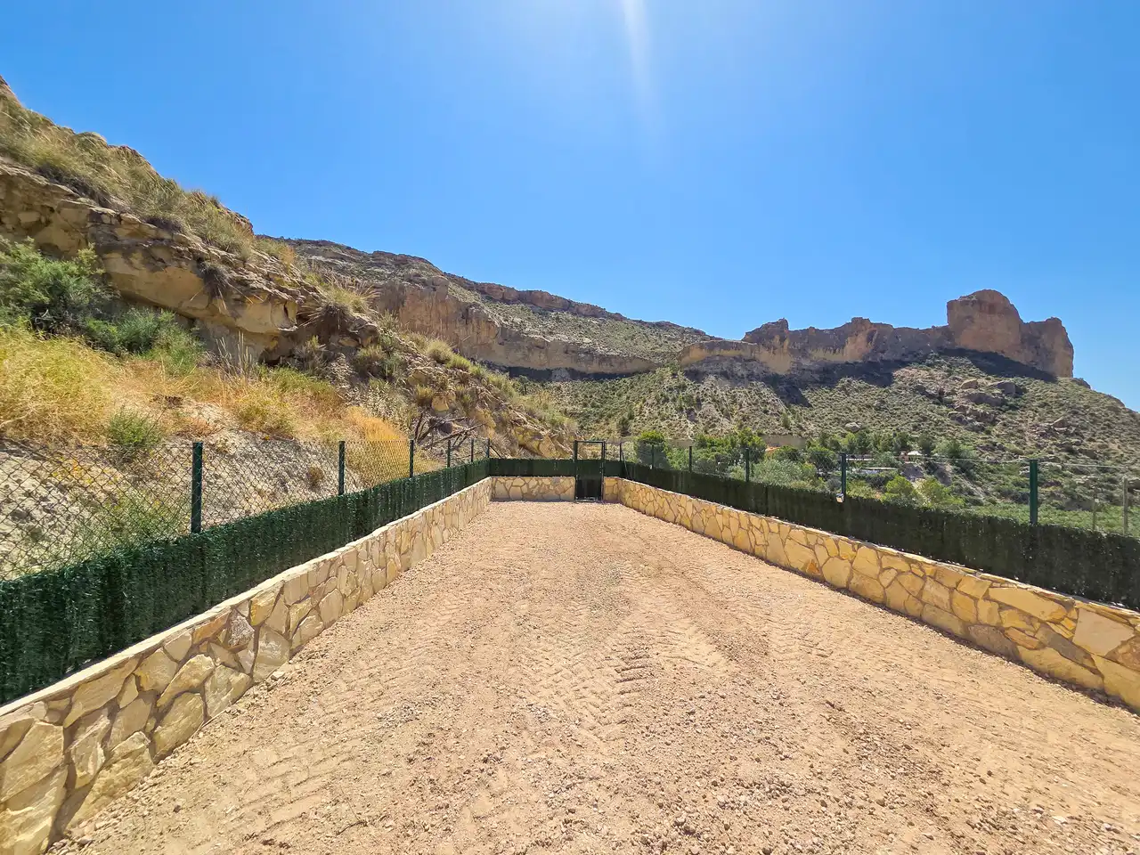 Vista exterior de Casa o chalet en venta en Crevillent, Alicante