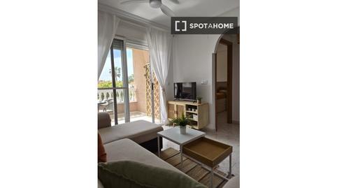 Foto 3 de Habitación en Gran Playa, Santa Pola