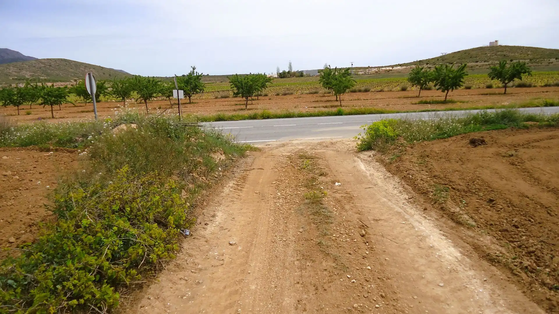 Terreno rústico en venta en El Pinós / Pinoso, imagen 2