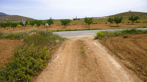 Terreno de regadío edificable de 10.380 m en Pinoso, Alicante, imagen 2