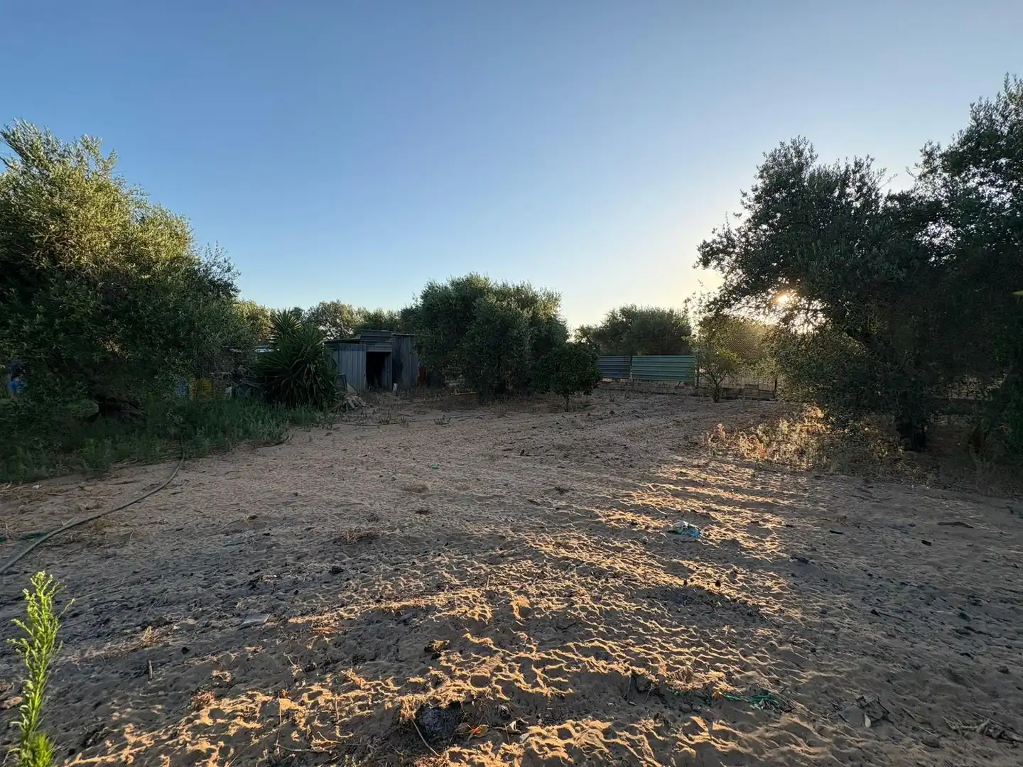 Rural land for sale in Polígono 42 Paraje 376 MATA ALCOZARINA, imagen 6