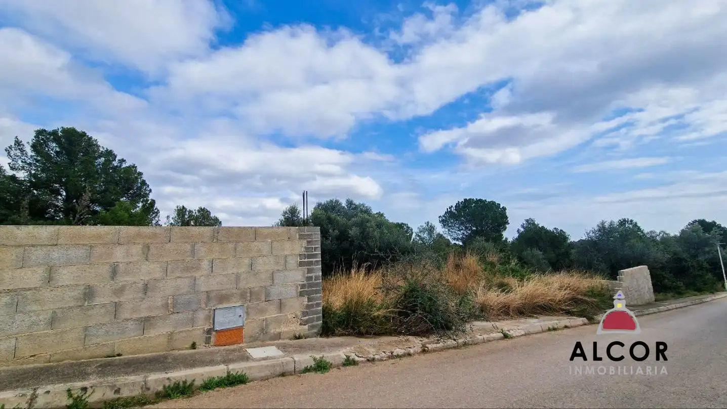 Finca rústica en venda en Benicarló