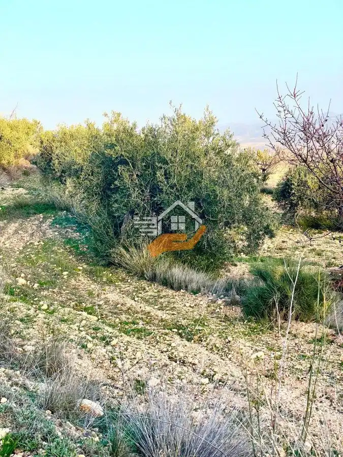 Lands and plots for sale in Vélez-Rubio, imagen 14