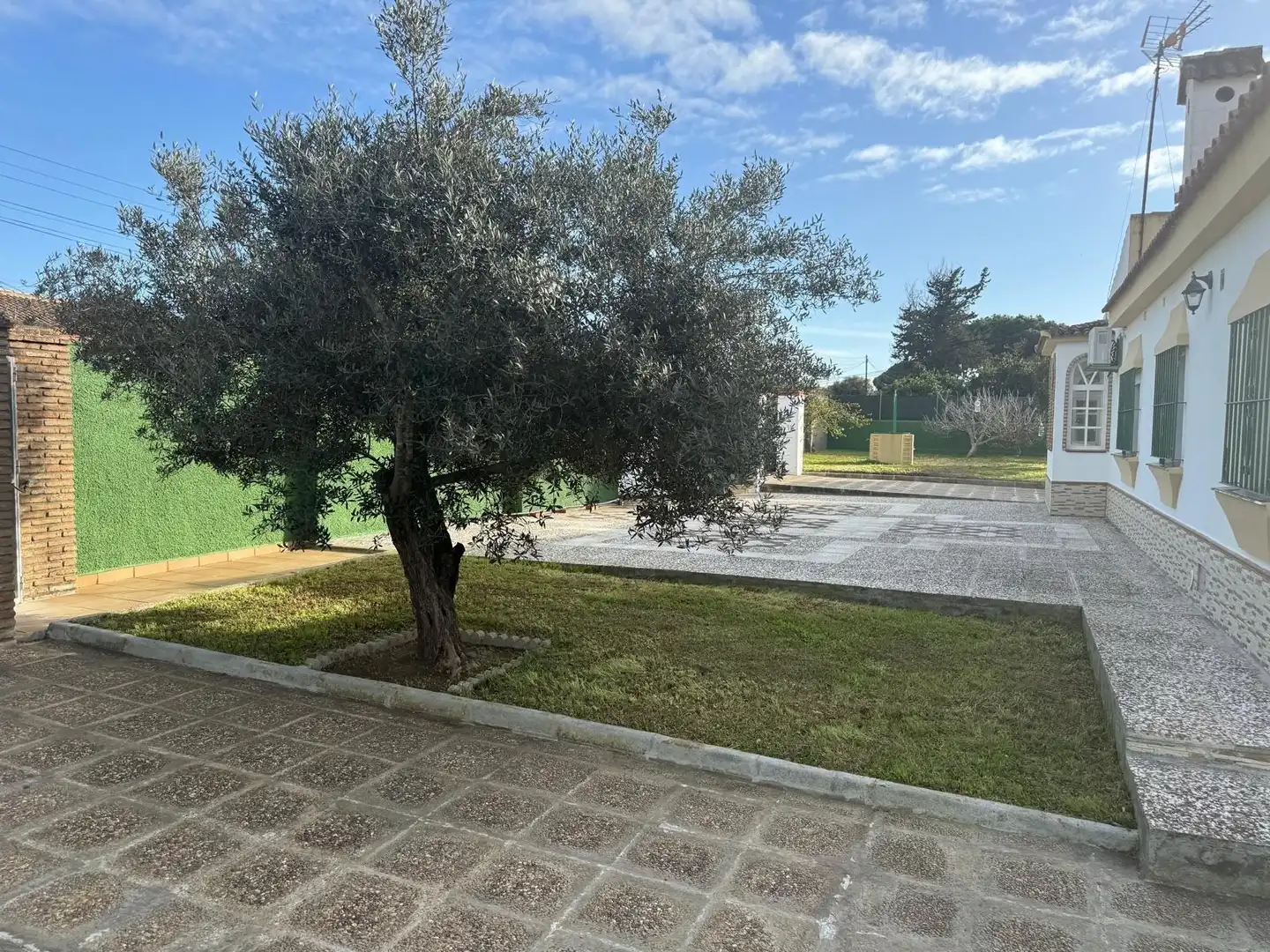 Jardí de Casa o xalet en venda en Chiclana de la Frontera amb Jardí privat i Traster