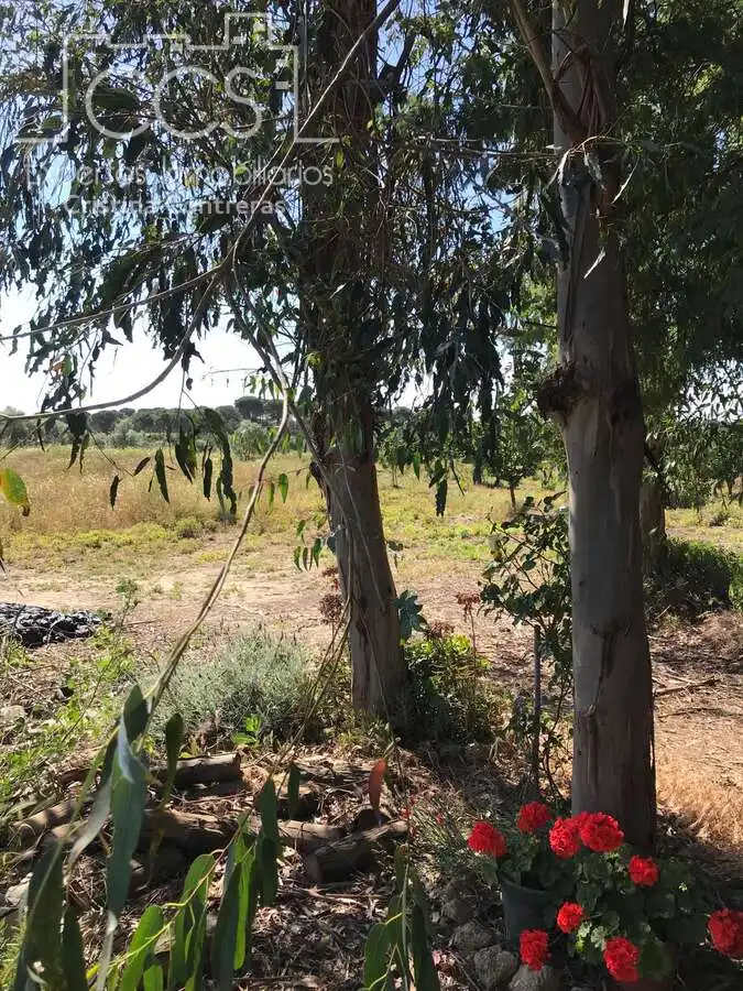 Terreni e lotti in vendita a Almonte ciudad, imagen 10