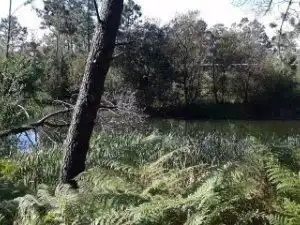 Residential land for sale in Noalla, imagen 6