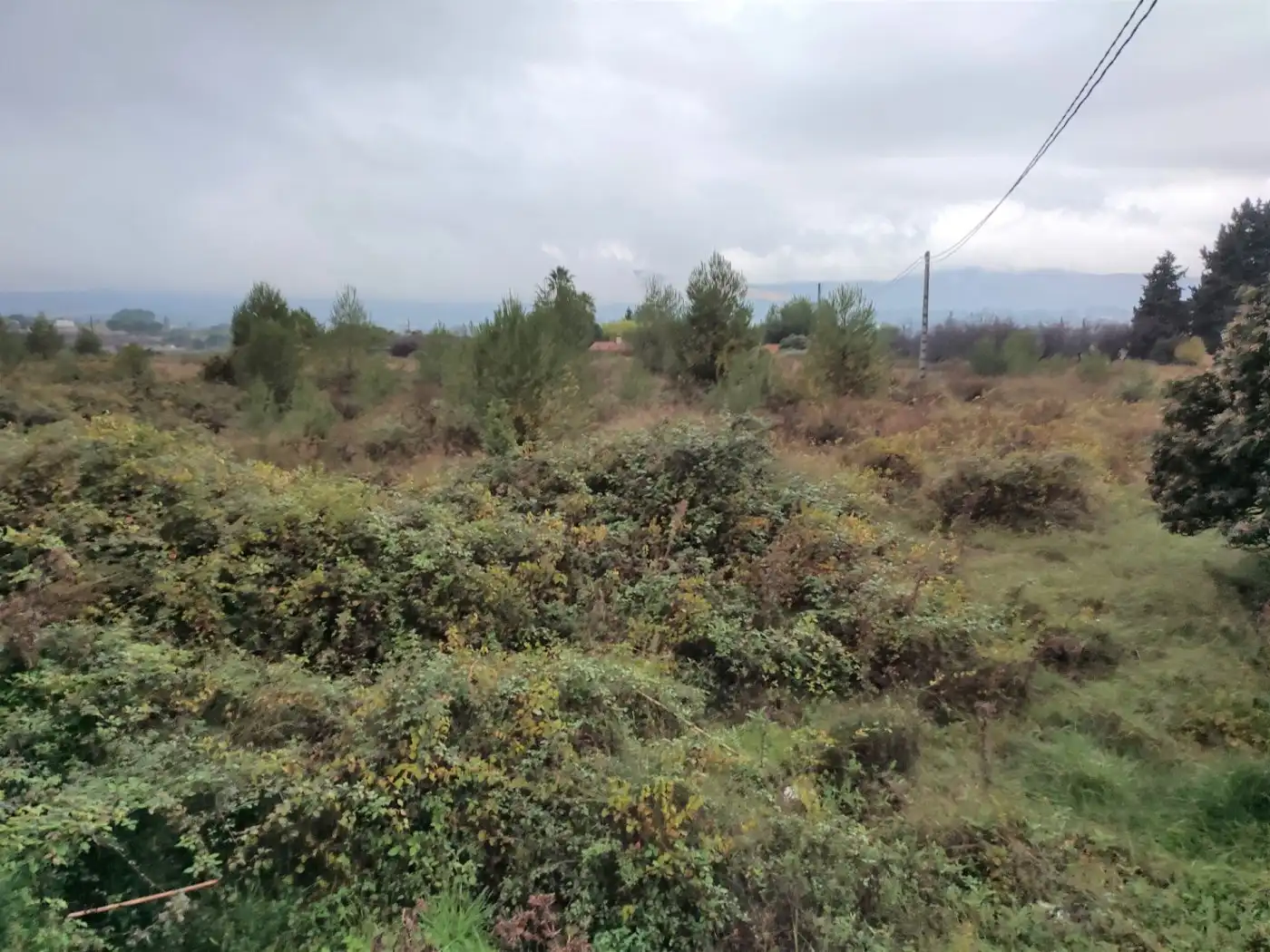 Terrain rustique à vendre à El Llombo