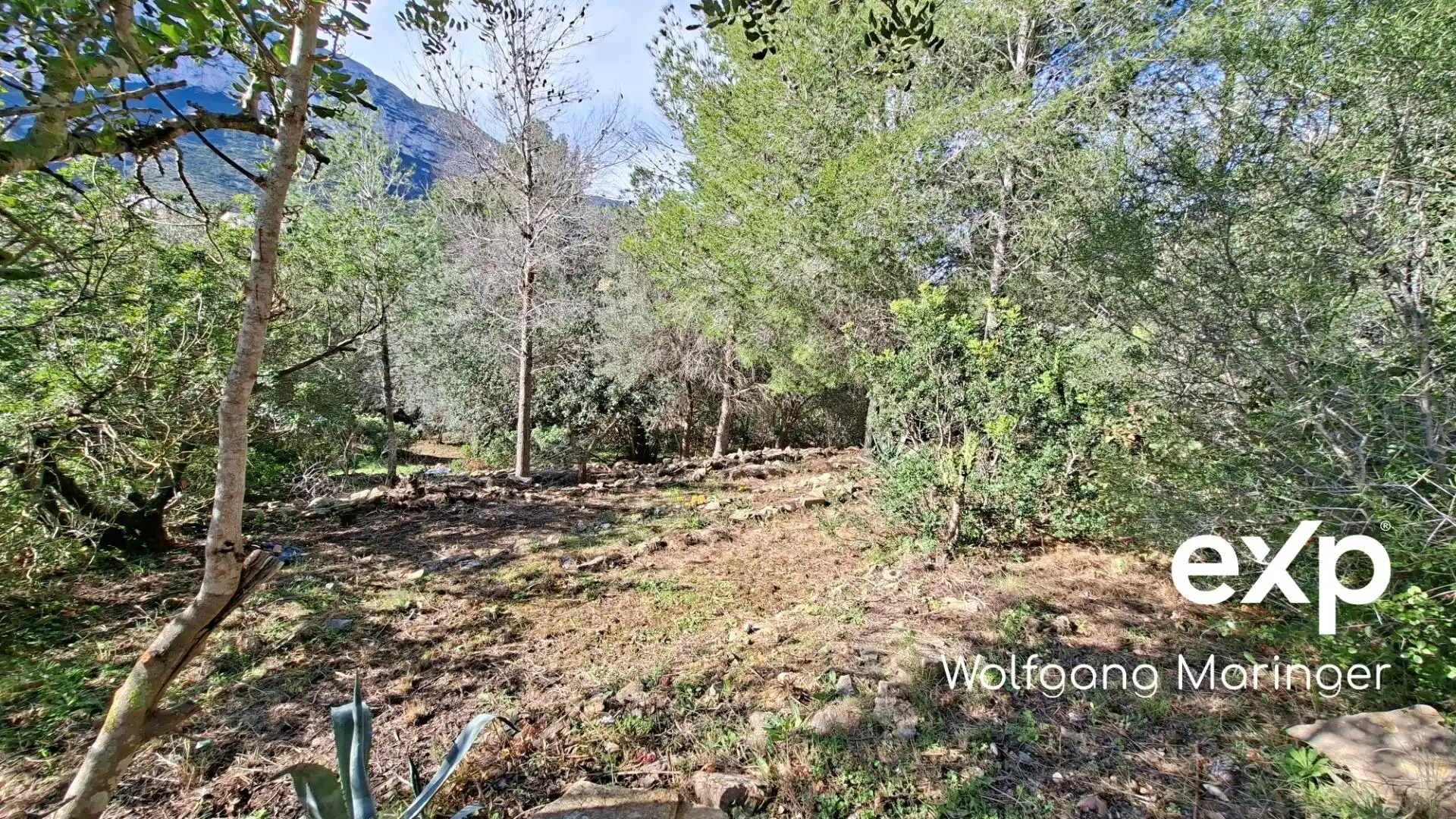 Terreny residencial en venda a Betlems 51, imagen 14