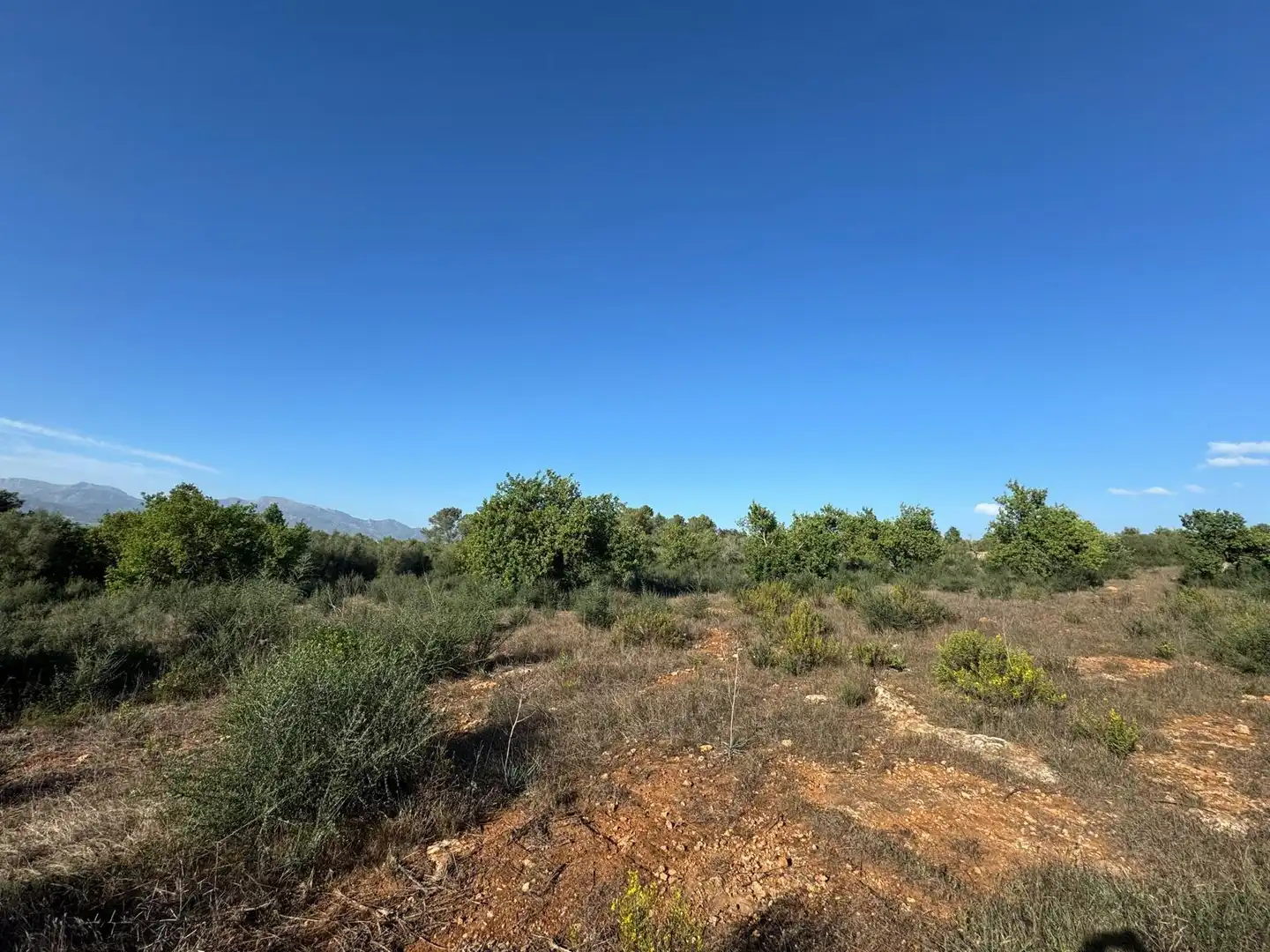 Terreno rustico in vendita a Carrer Major, imagen 10
