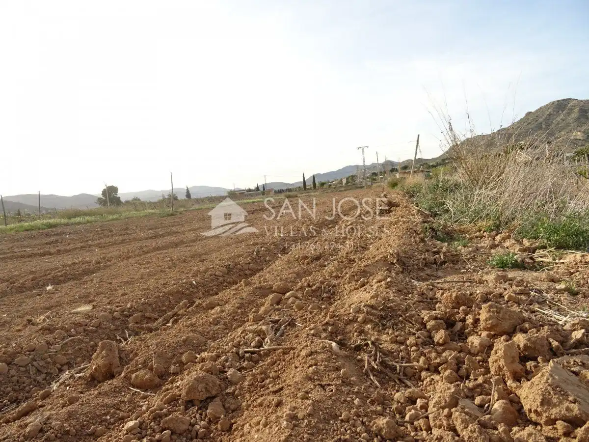 Houses for sale in Aspe  with Storage room