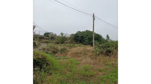 Foto 5 de Terreno en venta en Carretera la Ferruja, Palo Blanco, Los Realejos