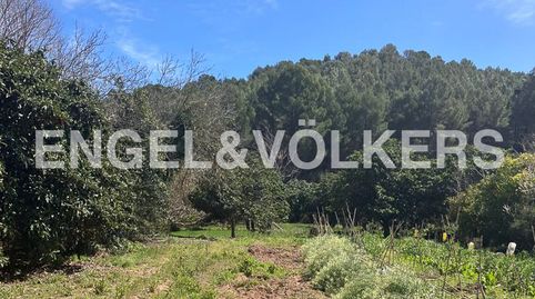 Terreno agrícola y forestal muy cerca de Geldo, immagine 4
