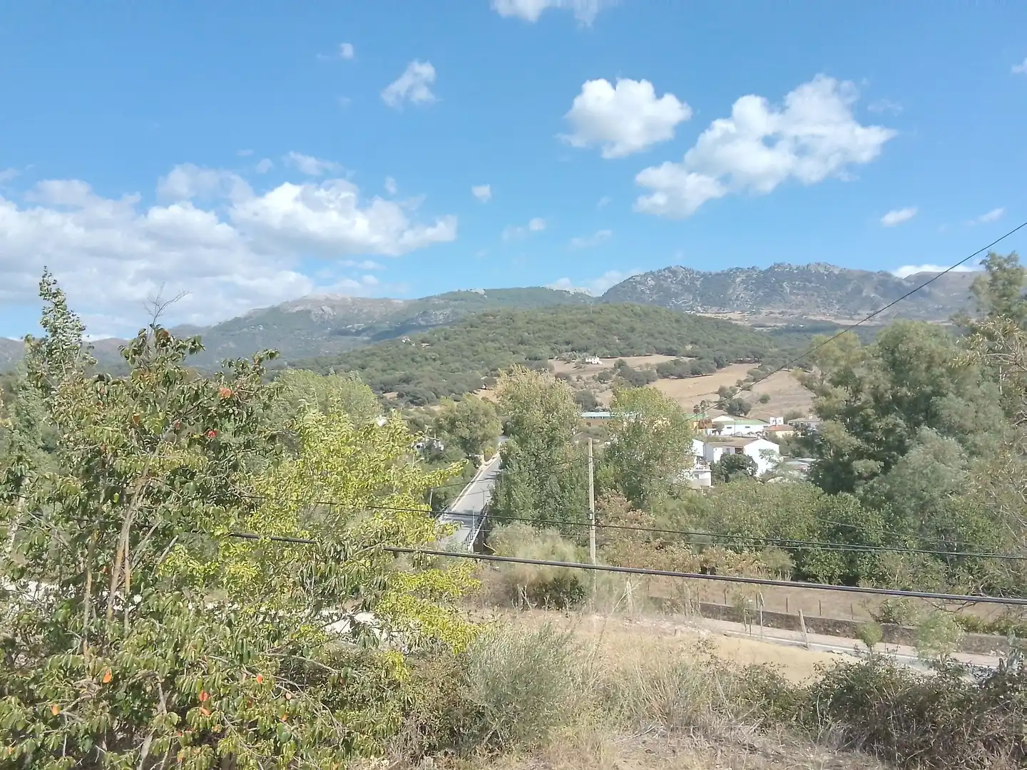 Terrain rustique à vendre à Cortes de la Frontera, imagen 38