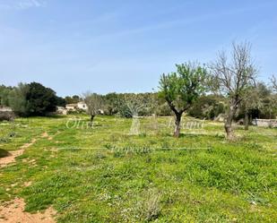 Residential for sale in Algaida