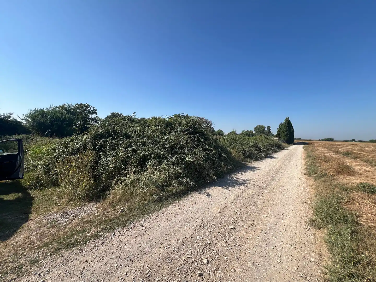 Terreno rústico en venta en Carretera d'Artesa, imagen 2