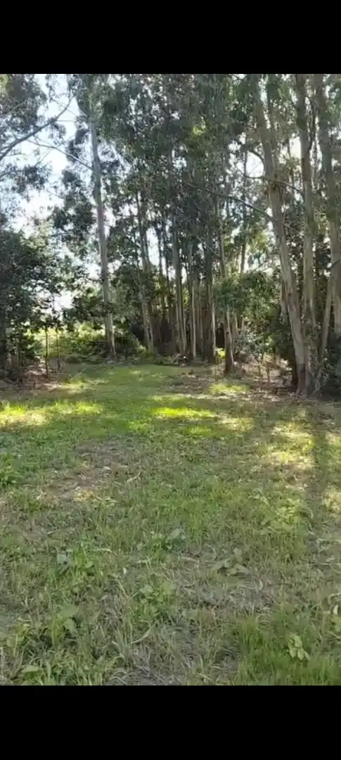 Finca rústica en venta en Valdáliga
