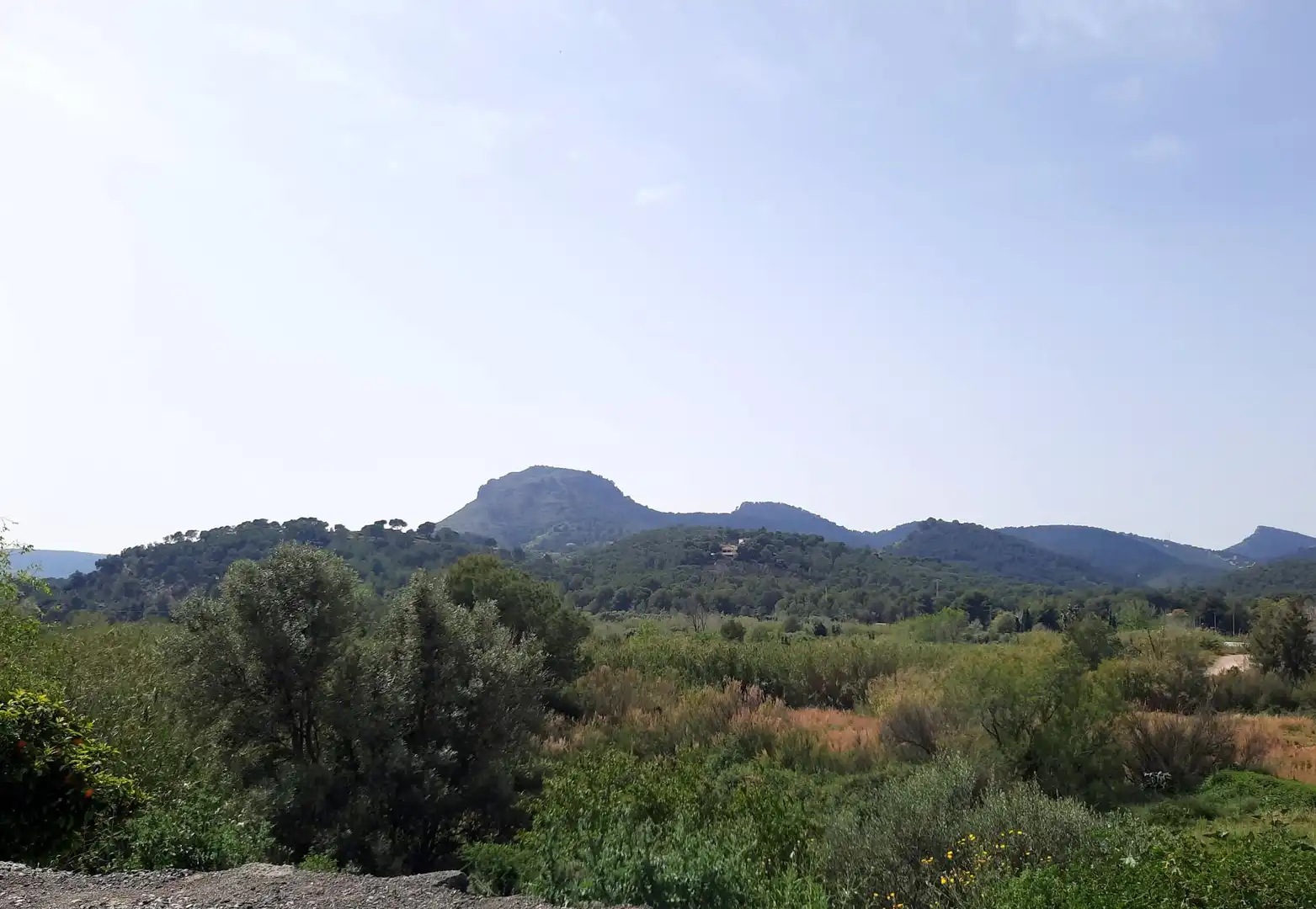 Finca rústica en venta en Albalat dels Tarongers con Calefacción, Terraza y Piscina