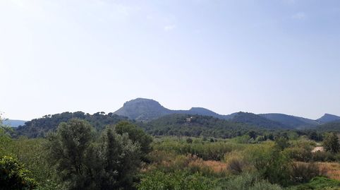 Foto 3 de Finca rústica en venta en Albalat dels Tarongers, Valencia