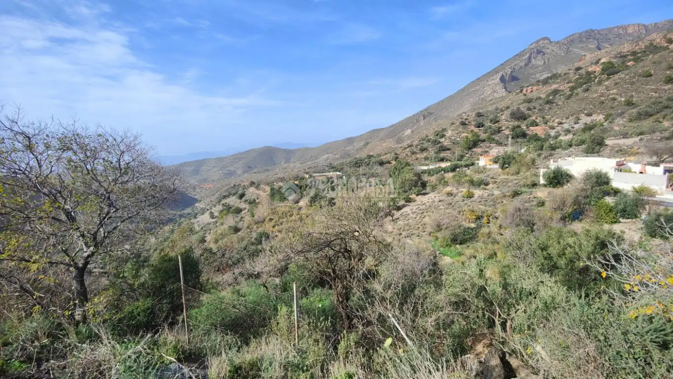 Finca rústica en venta en Vélez de Benaudalla