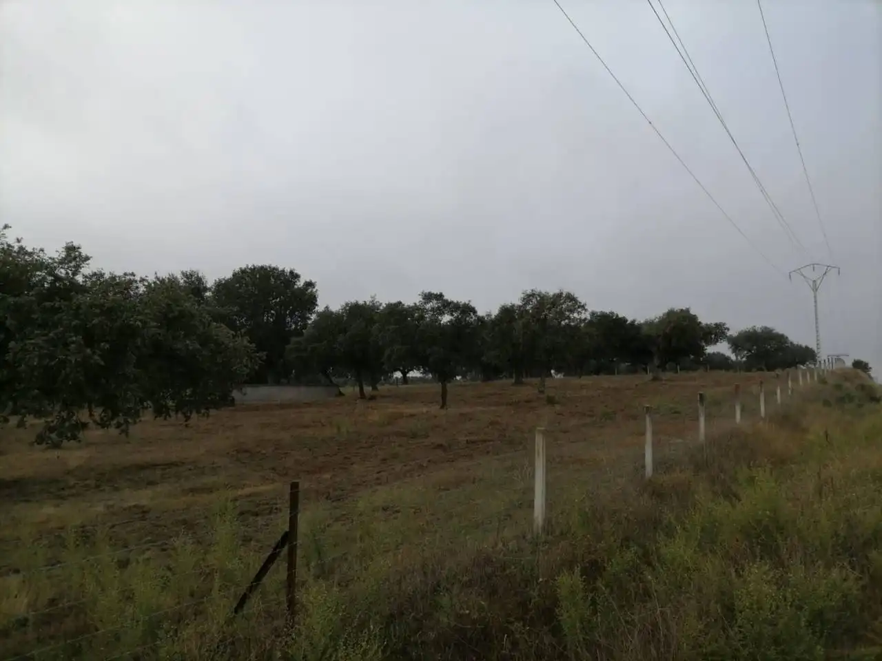 Terreno en venta en Poligono 1, La Alameda de Gardón