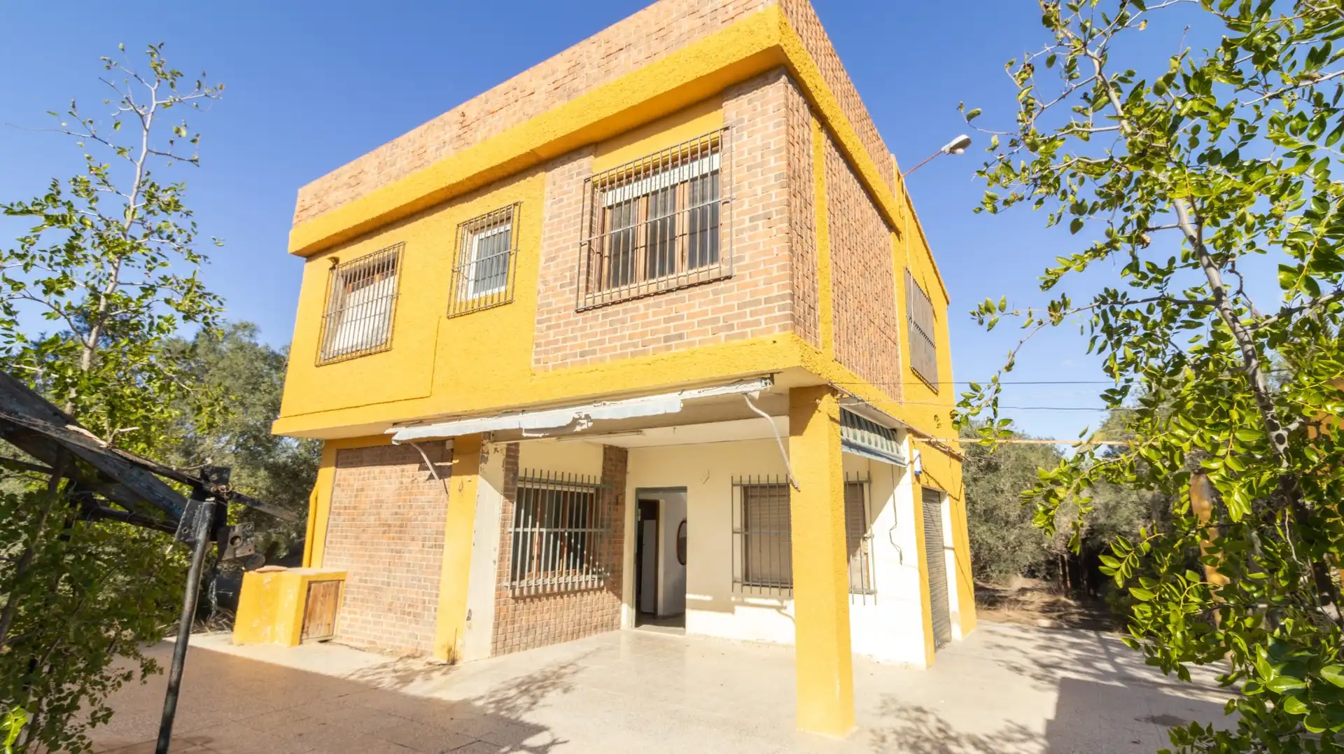 Vista exterior de Casa o chalet en venta en Elche / Elx con Trastero y Piscina