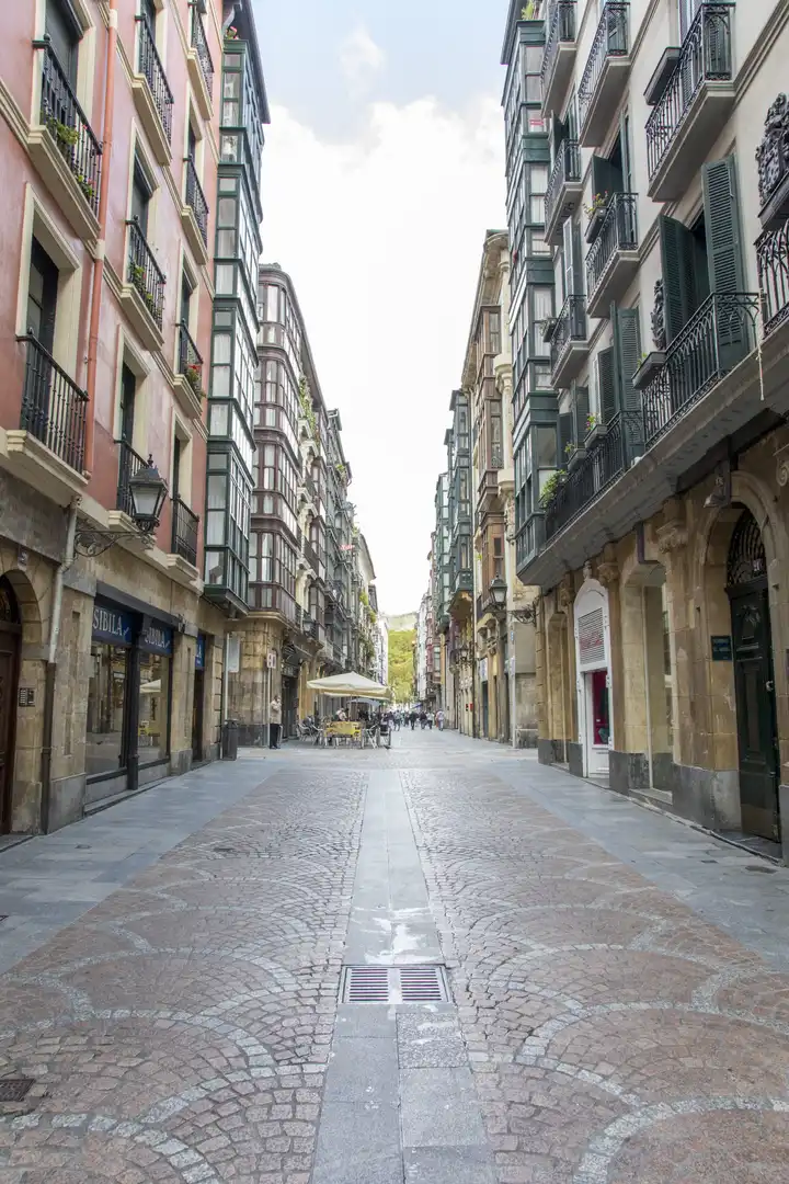 Pis amb terrassa en venda a Calle Barrenkale, imagen 20