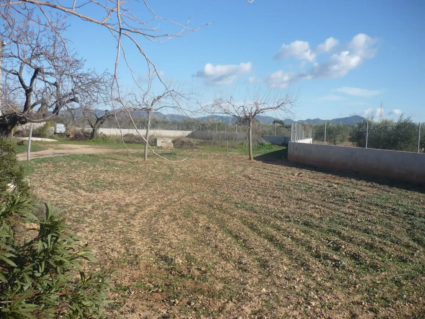 Land for sale in Vila-rodona
