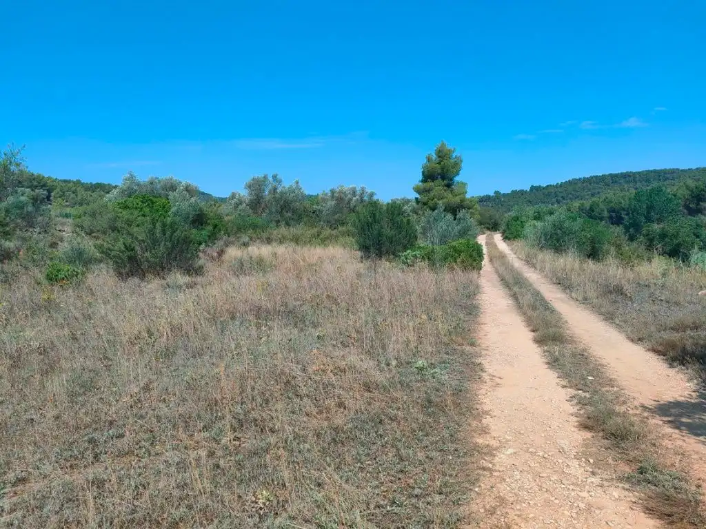 Terreni e lotti in vendita a Arens de Lledó, imagen 8