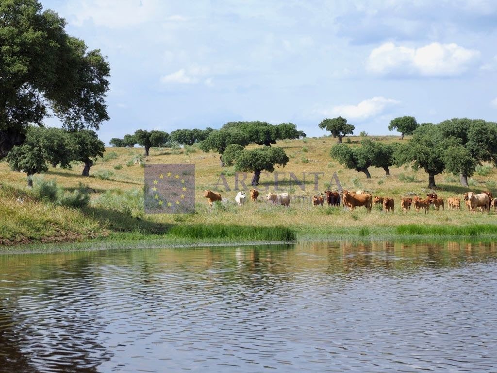 Country house for sale in Plasencia
